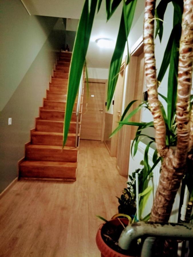 Central Guesthouse (Adults Only) Βουκουρέστι Εξωτερικό φωτογραφία
